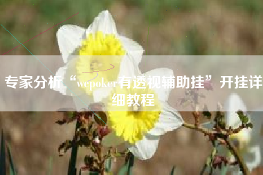 专家分析“wepoker有透视辅助挂”开挂详细教程