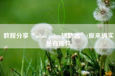 教程分享“sohoo poker辅助器”(原来确实是有插件