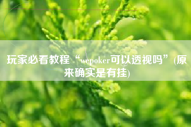 玩家必看教程“wepoker可以透视吗	”(原来确实是有挂)
