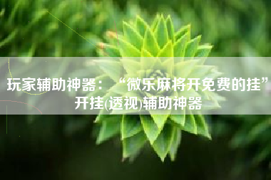 玩家辅助神器：“微乐麻将开免费的挂”开挂(透视)辅助神器