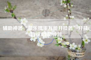 辅助神器“微乐掼蛋万能开挂器”开挂(透视)辅助神器