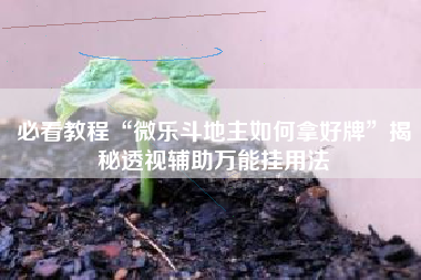 必看教程“微乐斗地主如何拿好牌”揭秘透视辅助万能挂用法