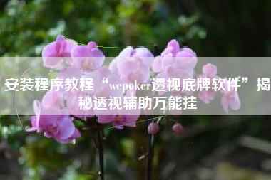 安装程序教程“wepoker透视底牌软件”揭秘透视辅助万能挂