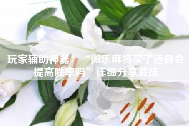 玩家辅助神器：“微乐麻将买了道具会提高胜率吗”详细分享装挂