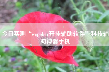 今日实测“wepoker开挂辅助软件”科技辅助神器手机