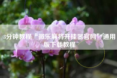 3分钟教程“微乐麻将开挂器官网”通用版下载教程