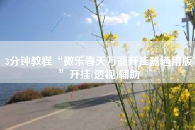 3分钟教程“微乐春天万能开挂器通用版”开挂(透视)辅助