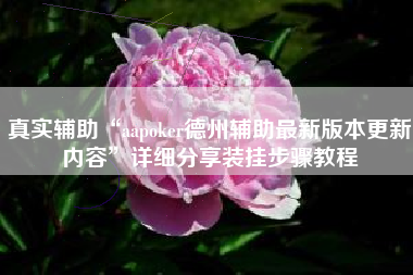 真实辅助“aapoker德州辅助最新版本更新内容	”详细分享装挂步骤教程