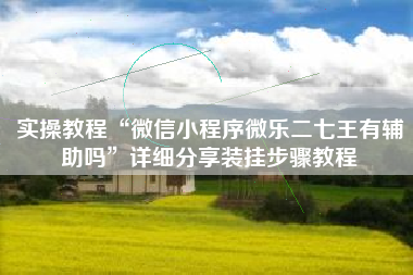 实操教程“微信小程序微乐二七王有辅助吗	”详细分享装挂步骤教程