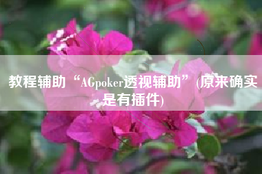 教程辅助“AGpoker透视辅助”(原来确实是有插件)