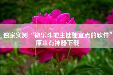 独家实测“微乐斗地主挂便宜点的软件	”原来有神器下载