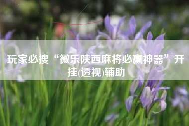 玩家必搜“微乐陕西麻将必赢神器	”开挂(透视)辅助