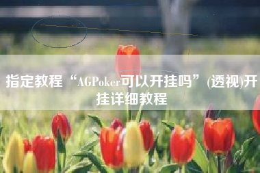 指定教程“AGPoker可以开挂吗”(透视)开挂详细教程