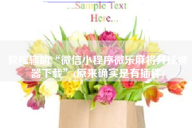 教程辅助“微信小程序微乐麻将开挂神器下载”(原来确实是有插件)