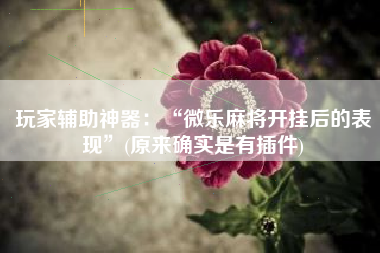 玩家辅助神器：“微乐麻将开挂后的表现	”(原来确实是有插件)