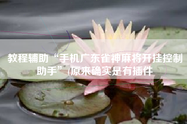 教程辅助“手机广东雀神麻将开挂控制助手”(原来确实是有插件