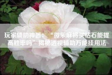 玩家辅助神器：“微乐麻将买钻石能提高胜率吗”揭秘透视辅助万能挂用法