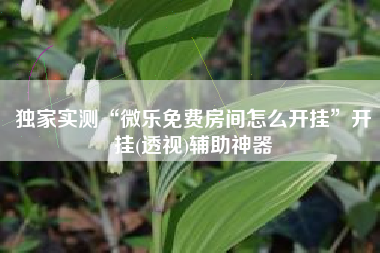 独家实测“微乐免费房间怎么开挂”开挂(透视)辅助神器