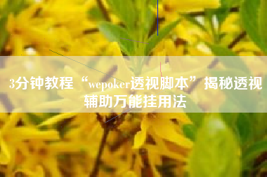 3分钟教程“wepoker透视脚本”揭秘透视辅助万能挂用法