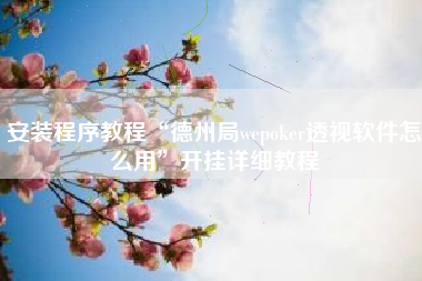 安装程序教程“德州局wepoker透视软件怎么用”开挂详细教程