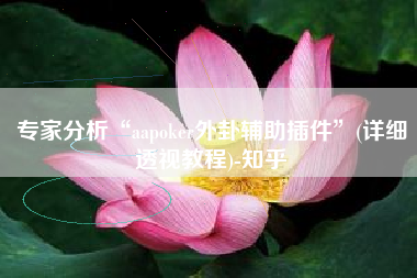 专家分析“aapoker外卦辅助插件”(详细透视教程)-知乎