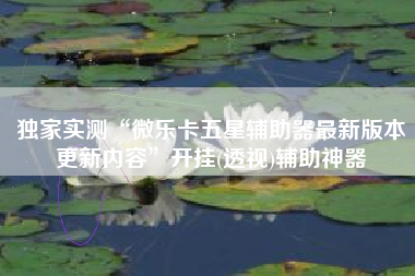 独家实测“微乐卡五星辅助器最新版本更新内容	”开挂(透视)辅助神器