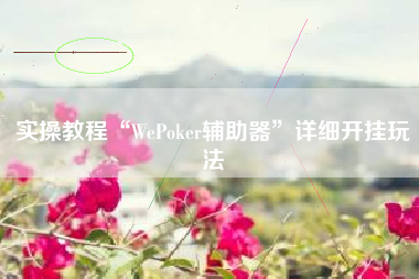 实操教程“WePoker辅助器	”详细开挂玩法