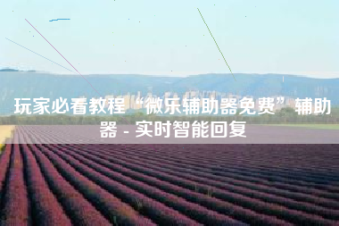 玩家必看教程“微乐辅助器免费	”辅助器 - 实时智能回复