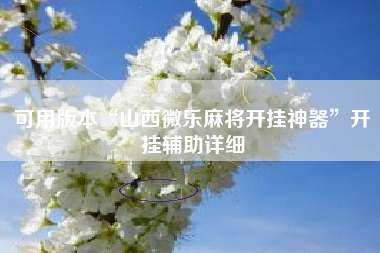 可用版本“山西微乐麻将开挂神器”开挂辅助详细