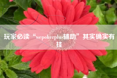 玩家必读“wepokerplus辅助”其实确实有挂