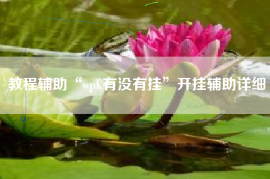 教程辅助“wpk有没有挂	”开挂辅助详细