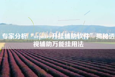 专家分析“wepoker开挂辅助软件”揭秘透视辅助万能挂用法