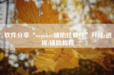 软件分享“wepoker辅助挂软件”开挂(透视)辅助教程