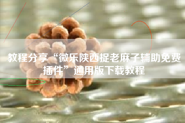 教程分享“微乐陕西捉老麻子辅助免费插件”通用版下载教程