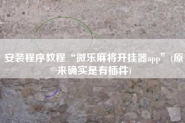 安装程序教程“微乐麻将开挂器app	”(原来确实是有插件)