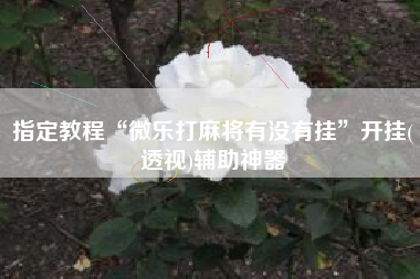 指定教程“微乐打麻将有没有挂”开挂(透视)辅助神器