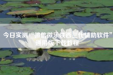 今日实测“微信微乐陕西三代辅助软件”通用版下载教程