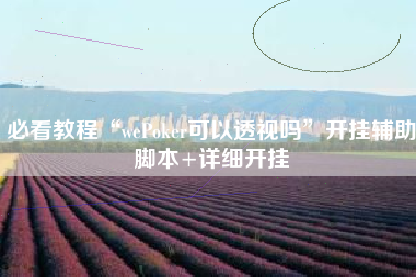 必看教程“wePoker可以透视吗	”开挂辅助脚本+详细开挂
