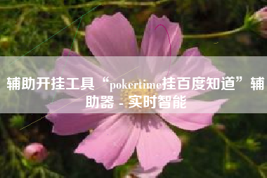 辅助开挂工具“pokertime挂百度知道	”辅助器 - 实时智能