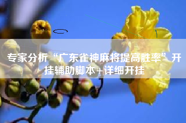 专家分析“广东雀神麻将提高胜率	”开挂辅助脚本+详细开挂