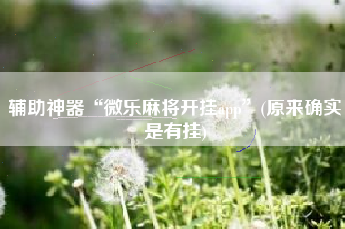 辅助神器“微乐麻将开挂app”(原来确实是有挂)