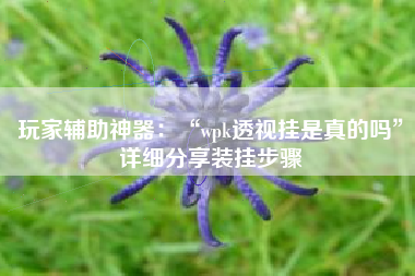 玩家辅助神器：“wpk透视挂是真的吗”详细分享装挂步骤