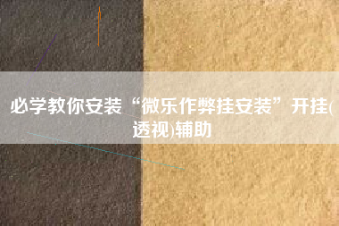 必学教你安装“微乐作弊挂安装	”开挂(透视)辅助