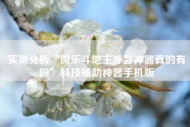 实测分析“微乐斗地主外卦神器真的有吗”科技辅助神器手机版