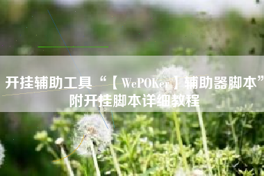 开挂辅助工具“【WePOKer】辅助器脚本	”附开挂脚本详细教程
