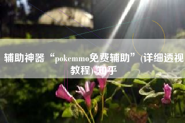 辅助神器“pokemmo免费辅助	”(详细透视教程)-知乎