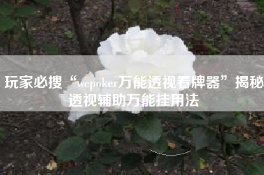 玩家必搜“wepoker万能透视看牌器	”揭秘透视辅助万能挂用法