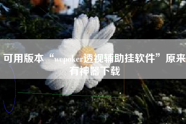 可用版本“wepoker透视辅助挂软件”原来有神器下载