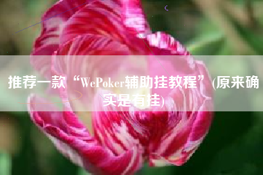 推荐一款“WePoker辅助挂教程”(原来确实是有挂)