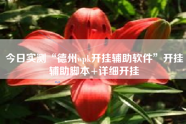 今日实测“德州wpk开挂辅助软件	”开挂辅助脚本+详细开挂